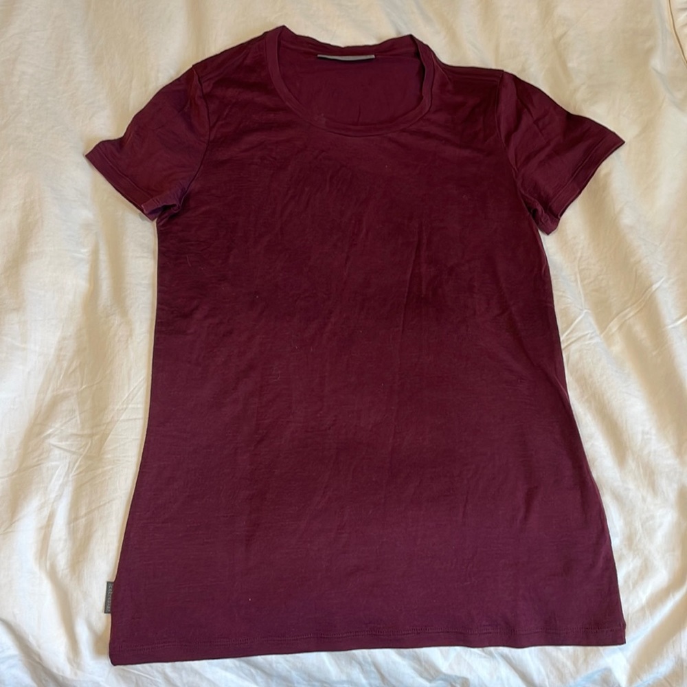 Merino Wool IceBreaker T-shirt